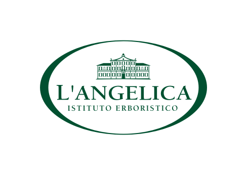 L'Angelica