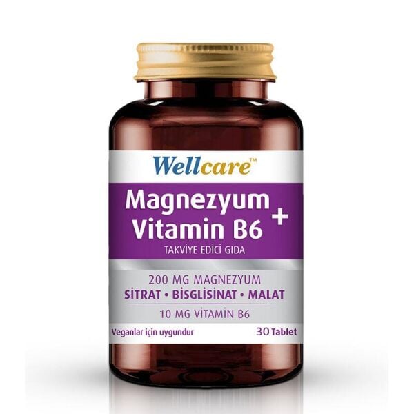 Wellcare Magnezyum B6 Vitamini 30 Tablet